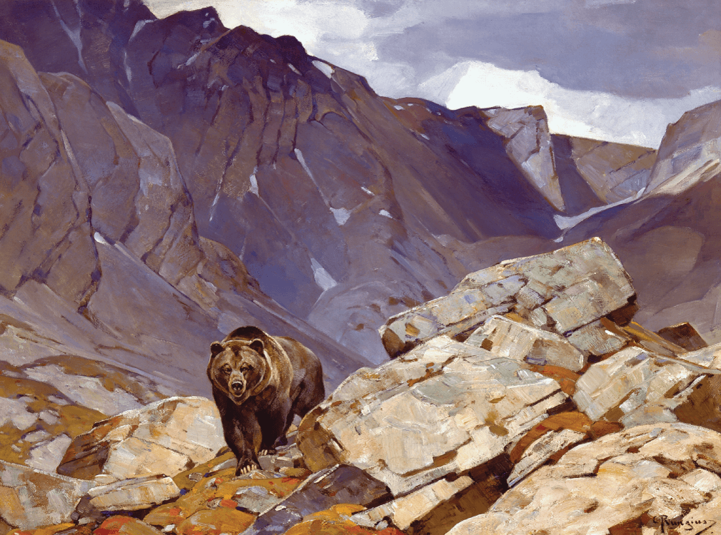 Brown bear on mountain.