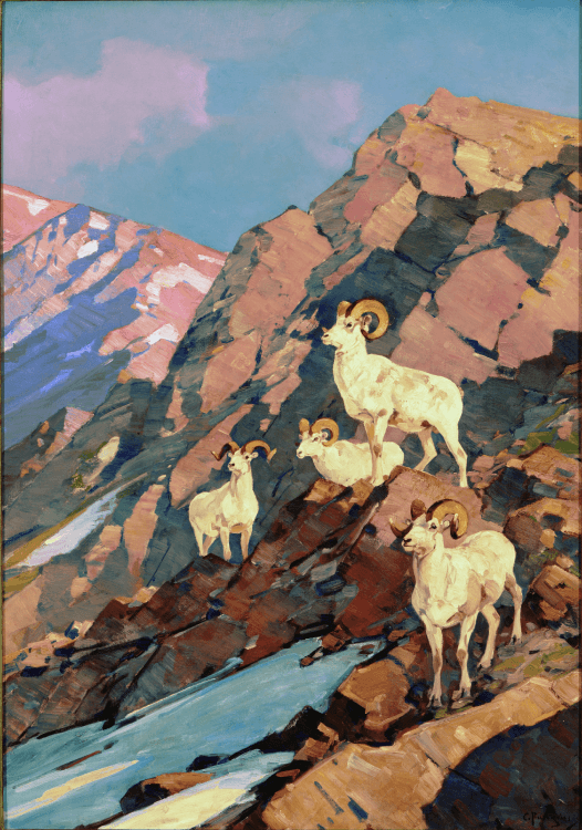 Four mountain goats on rocky bluff.