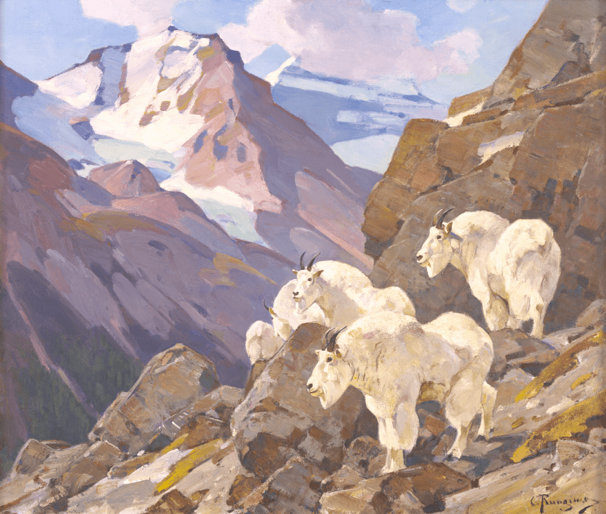 Herd of mountain goats on rocky cliff.
