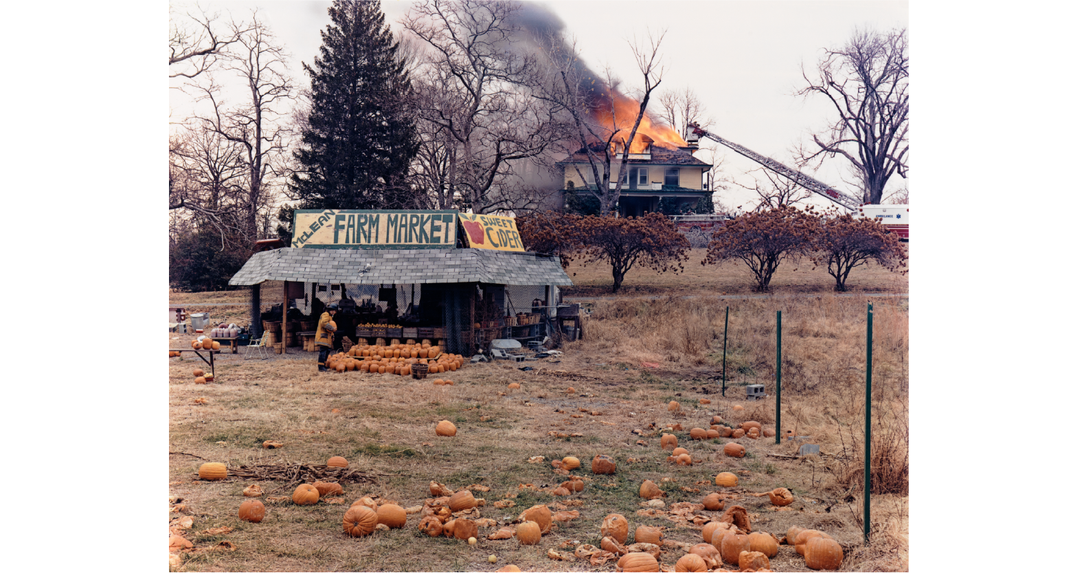 American Prospects and Landscape Photography, 1839 to Today
