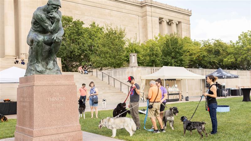 Bark in the Sculpture Park