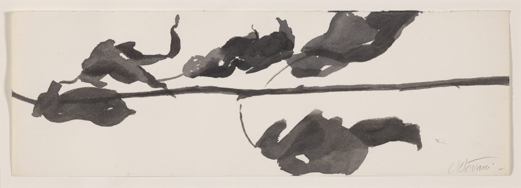 Watercolor and ink drawings