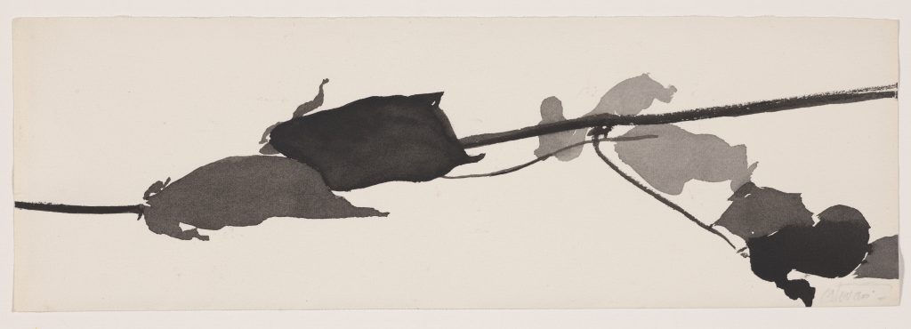 Watercolor and ink drawings