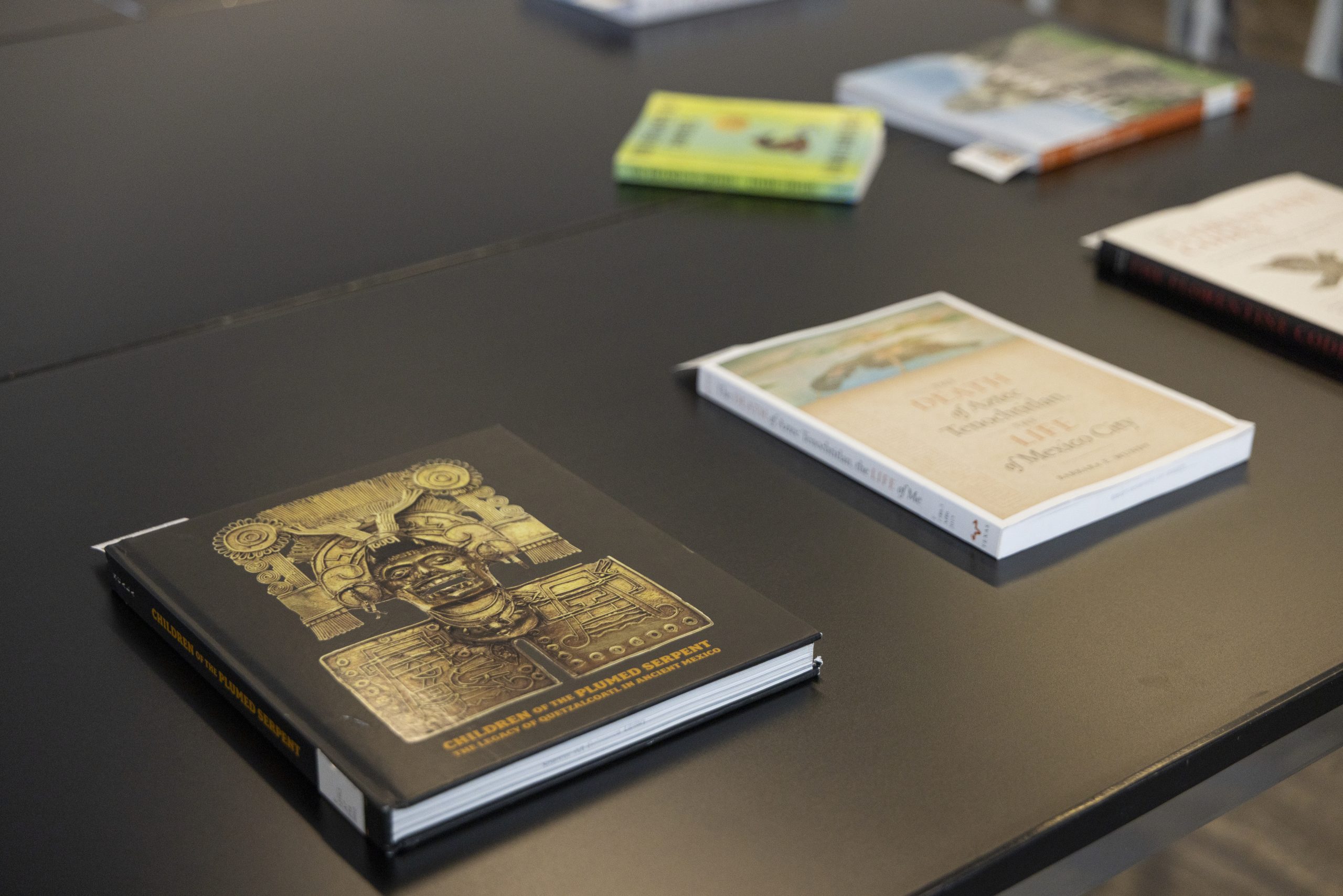 Spencer Art Reference Library program: You Dreamed of Empires, by Alvaro Enrigue - November 15, 2025, at The Nelson-Atkins Museum of Art, Kansas City, MO. Digital Production & Preservation photographer, Dana Anderson.